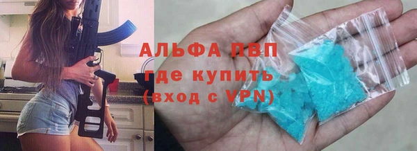 бошки Белокуриха
