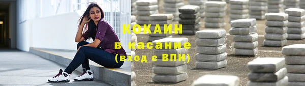 бошки Белокуриха