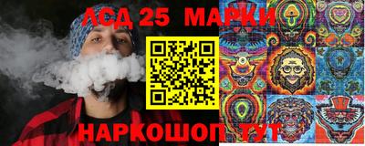 индика Можга
