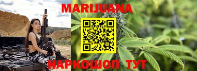 индика Можга