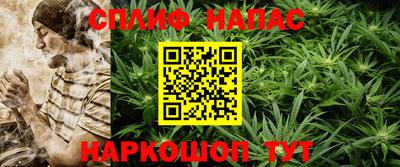 индика Можга
