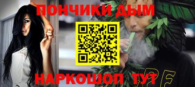 индика Можга