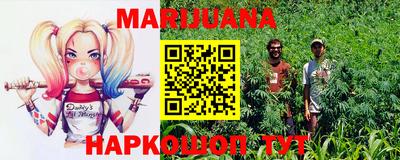 индика Можга
