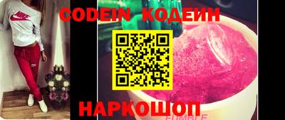 индика Можга