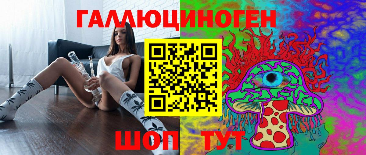 Буйнакск  где найти   Вход с VPN  Псилоцибиновые грибы Cubensis 
