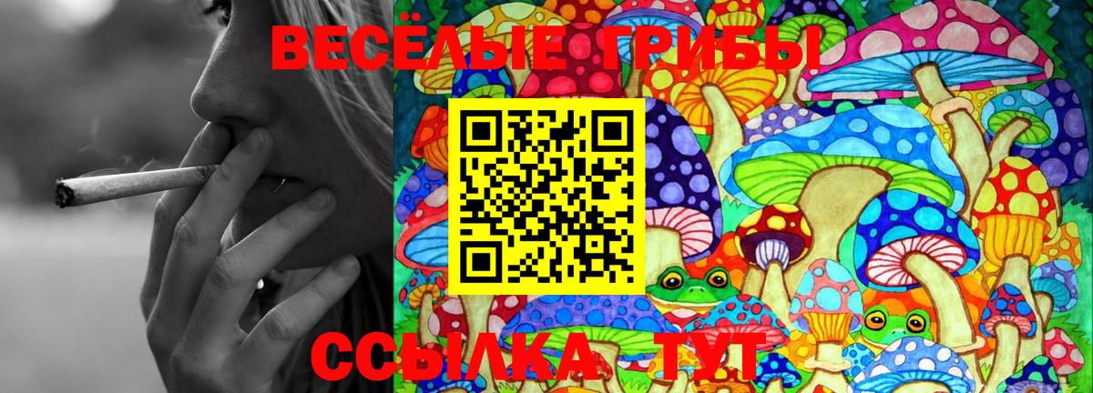 Псилоцибиновые грибы Cubensis Буйнакск