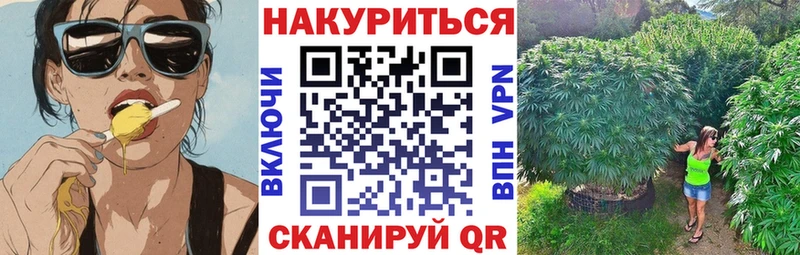 мега вход  где найти наркотики  Буйнакск  Марихуана SATIVA & INDICA 